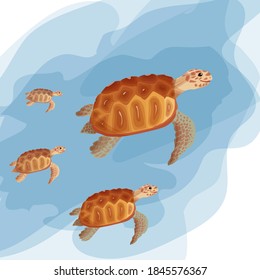Sea turtles swimming in the water. A set of beautiful turtles in beautiful colors. Clean water, environmental friendliness, turtles of different sizes.