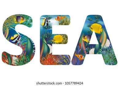 Sea underwater background  , vector illustration
