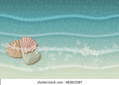 sea underwater composition with scallop shells