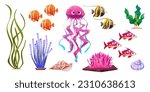 Sea underwater cute coral and jellyfish cartoon vector illustration set isolated on white background. Ocean water bottom life fish and seaweed icon. Aquatic world creature and shell reef nature