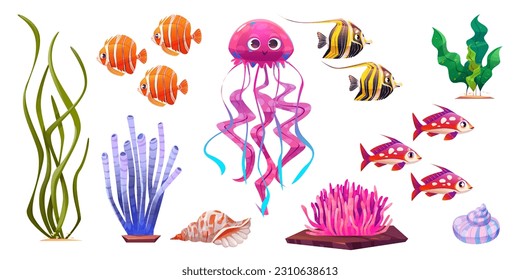 Ilustración vectorial de dibujos animados de coral y medusas subacuáticos aislados en fondo blanco. Pescado de fondo marino e icono de algas marinas. Naturaleza de la criatura y arrecife del mundo acuático