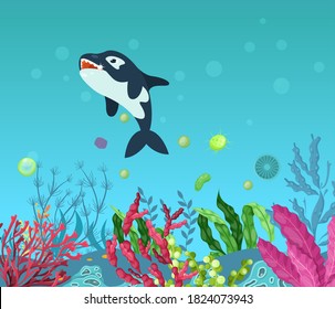 Sea underwater marine background with killer whale . Marine sea bottom with aqua plants, coral reef underwater seaweed plants, ocean plants, algae, laminaria. Undersea world animals cartoon vector