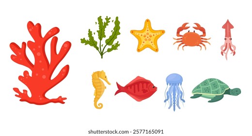 Sea underwater nature. Ocean wildlife elements. Coral, starfish, seaweed. Tropical aquatic animals and plants. Medusa, sea horse and squid. Fish turtle and crab. Cartoon vector illustrations set.