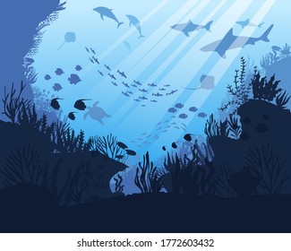 Sea underwater. Ocean bottom with seaweeds. Marine scene