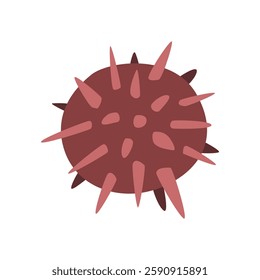 Sea urchin cartoon clipart. Cute sea urchin vector illustration. Animal in flat style. Sea animals concept isolated on white background