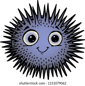 sea urchin with cute look