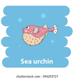 Sea urchin fish.Cute cartoon sea hedgehog vector illustration.Cartoon animal sea hedgehog isolated 