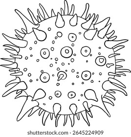 Sea urchin graphic doodle for marine education food branding kids seafood projects and playful eco product packaging Vector illustration