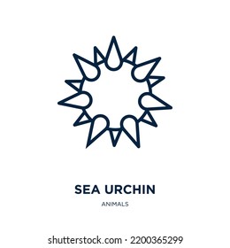 sea urchin icon from animals collection. Thin linear sea urchin, ocean, sea outline icon isolated on white background. Line vector sea urchin sign, symbol for web and mobile