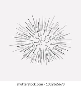 Sea urchin icon line element. Vector illustration of sea urchin icon line isolated on clean background for your web mobile app logo design.