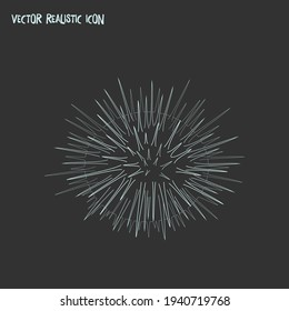 Sea urchin icon line element. Vector illustration of sea urchin icon line isolated on clean background for your web mobile app logo design.