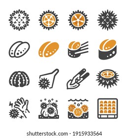 sea urchin icon set,vector and illustration