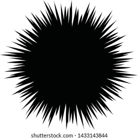 Sea urchin illustration, drawing, engraving, ink, line art, vector