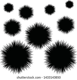 Sea urchin illustration, drawing, engraving, ink, line art, vector