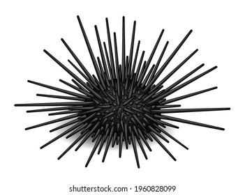 Sea urchin isolated on white background. Sea urchin icon in shilhouette style