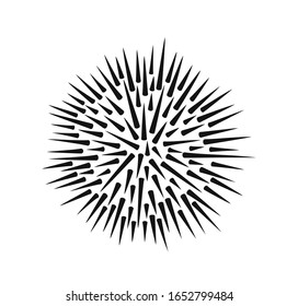 Sea urchin logo. Isolated sea urchin on white background