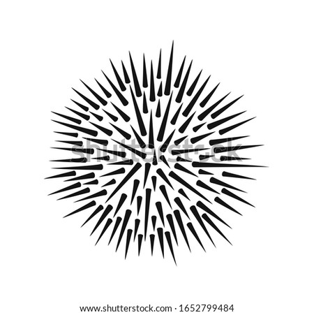 Sea urchin logo. Isolated sea urchin on white background