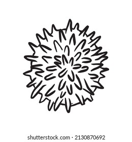 Sea urchin with sharp spines illustration. Coloring book for children and adults. Beautiful drawings with patterns and small details. For anti-stress and children's coloring books, emblems or tattoos.