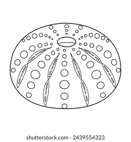 Sea urchin shell vector illustration. Black and white outline sea urchin Coloring page for kids and adults. Page for relaxation and meditation. Vector illustration