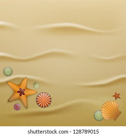 Sea urchin shells, starfish and scallop shells on sand. Illustration contains gradient mesh