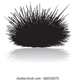 Sea urchin silhouette