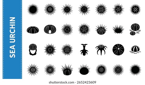 Sea Urchin Silhouette Icon: Marine Life and Spiky Sea Creature Black Vector