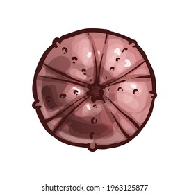 Sea urchin skeleton. Marine animal, underwater. Vector illustration in cartoon style, object isolated on white