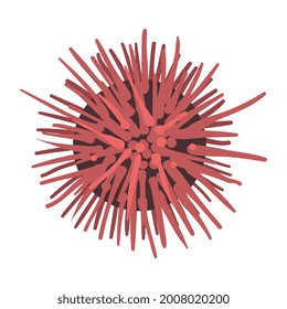 Sea Urchin Underwater Ocean Sea Creature Cartoon Vector Illustration