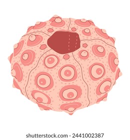 Sea urchin, vector flat illustration for your design. pink seashell isolated on white background. Under the sea. Isolated on a white background. Vector illustration