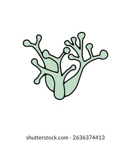 Sea vector illustration. coral cartoon
