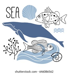 Sea vector set of hand drawn fishes, whales