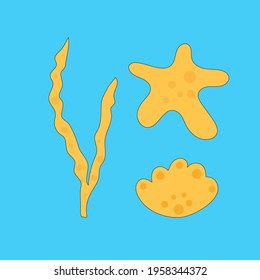 sea vector summer art star