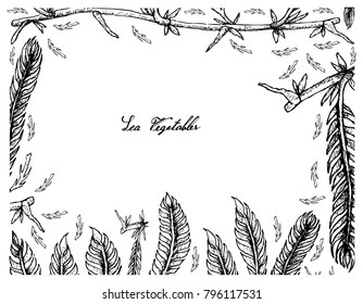Sea Vegetables, Illustration Frame of Hand Drawn Sketch Killer Algae or Caulerpa Taxifoli Seaweed Isolated on White Background.