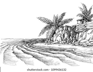 Sea view, small beach and palm trees