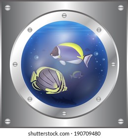 sea views