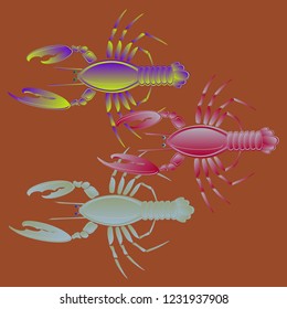 Sea water elegant lobster multicolored geometric.