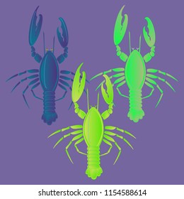Sea water great lobster multicolor geometric.