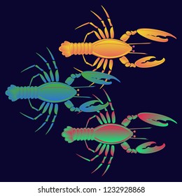 Sea water great lobster multicolor geometric.