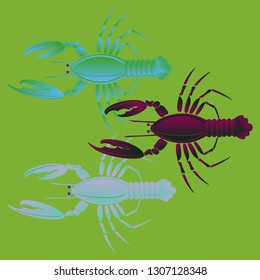Sea water great lobster multicolor geometric.