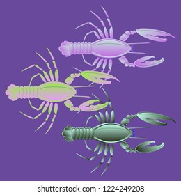 Sea water lovely lobster multicolored geometric.