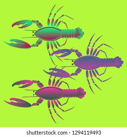 Sea water new lobster multicolored geometric.