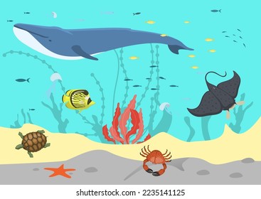 Sea water, ocean fish concept, vector illustration, underwater marine, animal life in tropical reef nature, whale, stingray, crab and turtle.