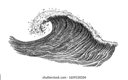 Sea wave sketch. Vintage hand drawn ocean tidal storm waves isolated on white background for surfing and seascape. Vector illustration.