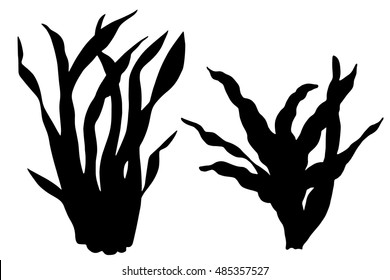 Sea weed black silhouettes, grass, leaves set isolated on white background