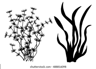 Sea weed black silhouettes, grass, leaves set isolated on white background