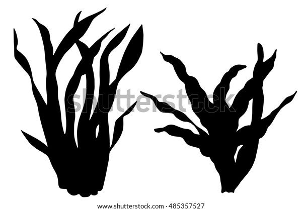 Sea Weed Black Silhouettes Grass Leaves Stock Vector (Royalty Free ...