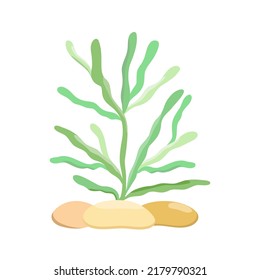 Sea Weed Cute Wildlife Vector Illustration Stock Vector (Royalty Free ...