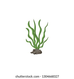 Sea weed isolated icon