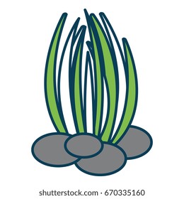 sea weed isolated icon