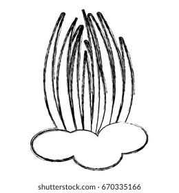 sea weed isolated icon